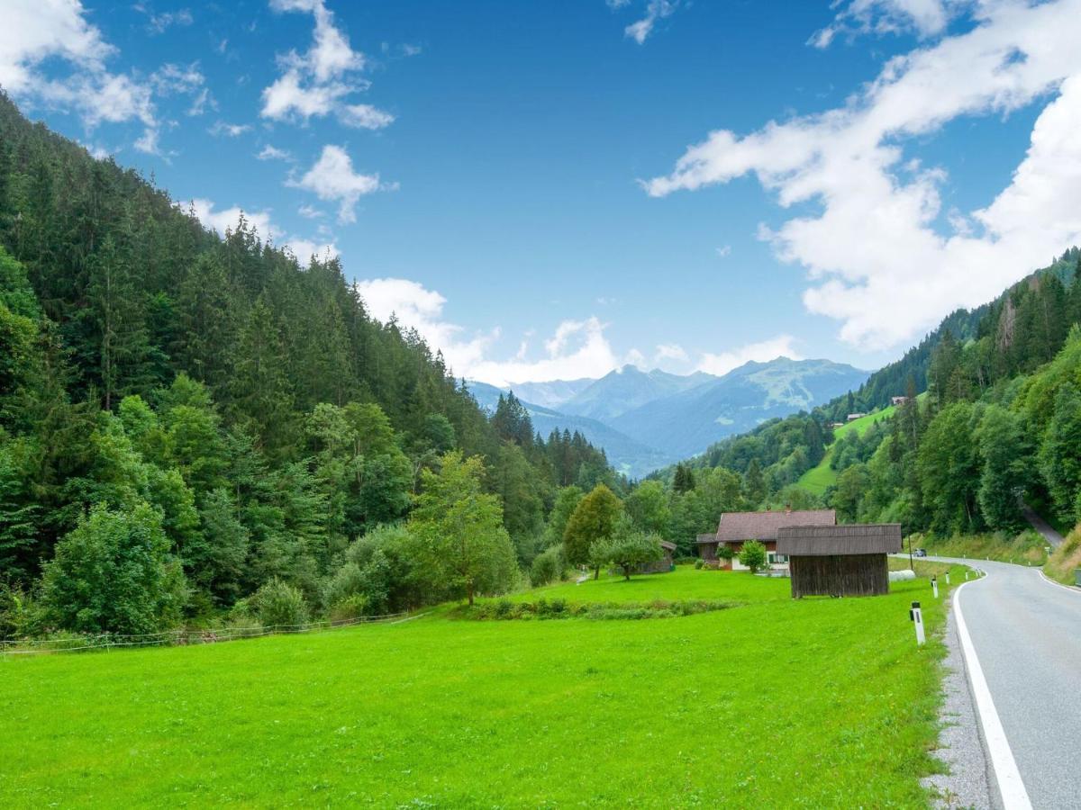 On The Mountainside In * Silbertal